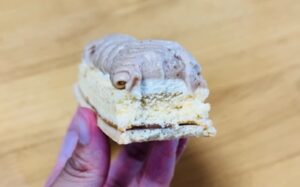 ローソンのご褒美スティックケーキ濃厚モンブラン